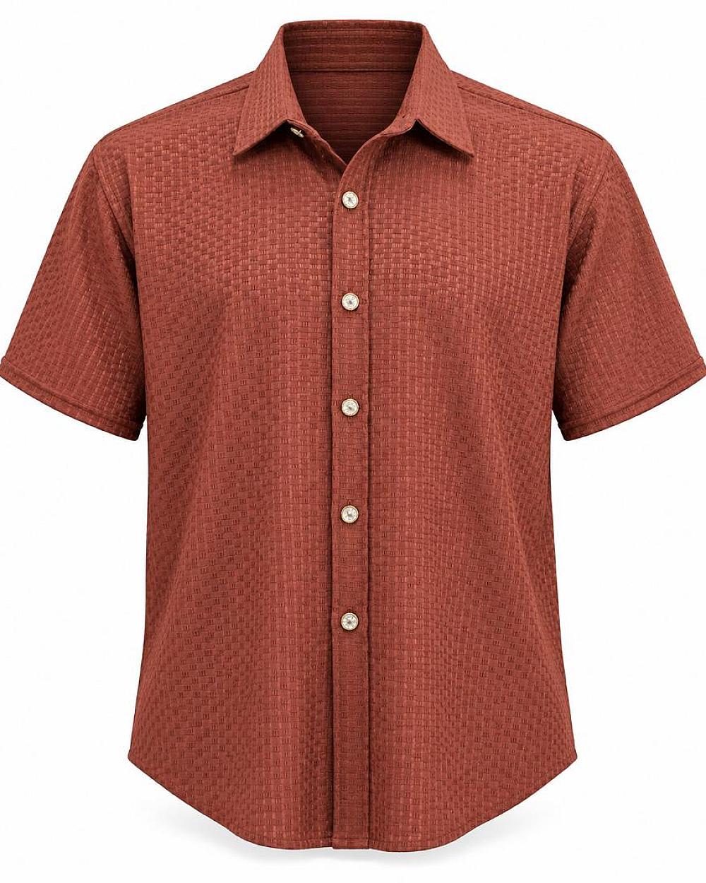 T&T Labels Textured Classic Short-Sleeve Shirt